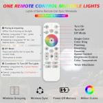 RGBW LED Pond Fountain Light with Power Cord