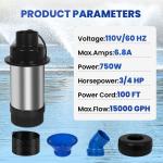 750W 3/4 HP Pond Fountain Pump with 100 FT Cord