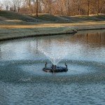 1/3 HP Pond Fountain - 100 ft, 9 Patterns