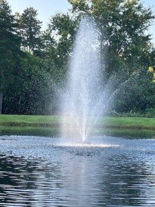 FM-8000 Floating Pond Fountain with White Lights