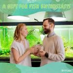 JINYEAH Ceramic Floating Koi Fish for Ponds