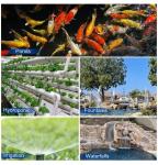 Large 9300 GPH Pond Waterfall and Koi Fountain