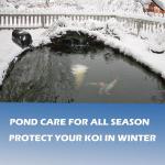 4,000-Gallon Pond Aeration Kit with Air Pump