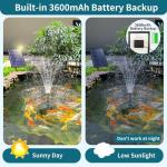 Solar Pond Filter and Pump with Battery Backup