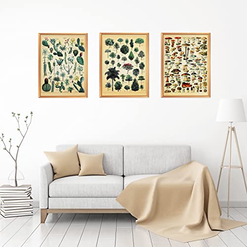 Vintage Plant Posters Set of 6
