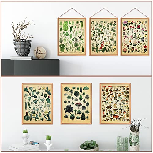 Vintage Plant Posters Set of 6