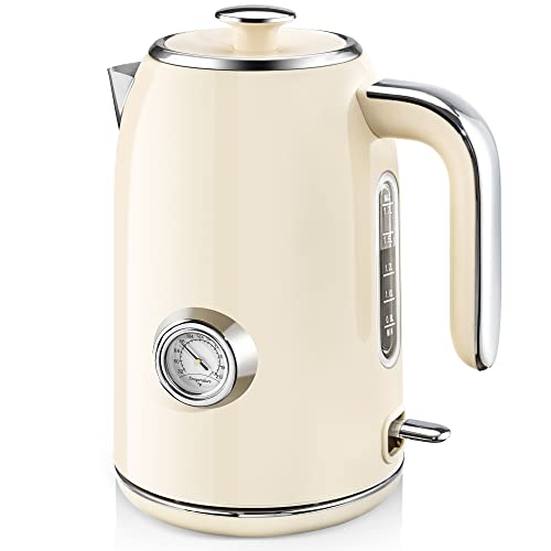 Retro Style Electric Tea Kettle