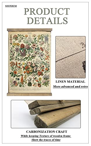 Retro Botanical Art Print for Wall Decor