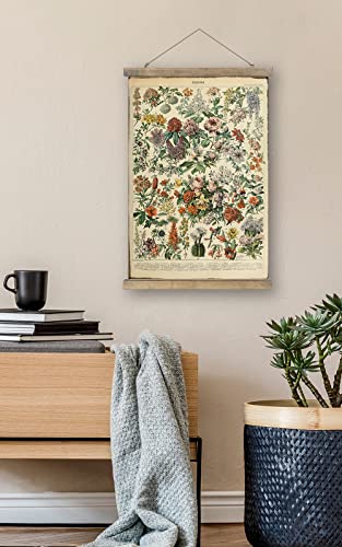 Retro Botanical Art Print for Wall Decor