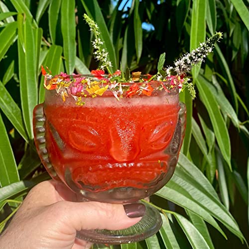4 Pack Clear Tiki Glasses Set