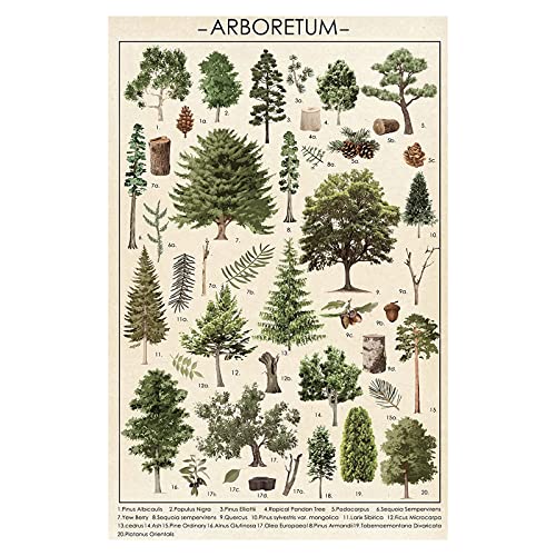 Vintage Botanical Tree Poster Wall Art