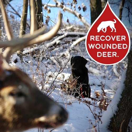 BloodTrail Scent for Dog Tracking Training Kit