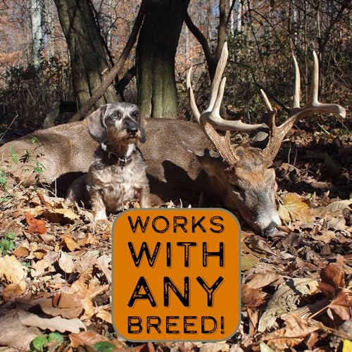 BloodTrail Scent for Dog Tracking Training Kit