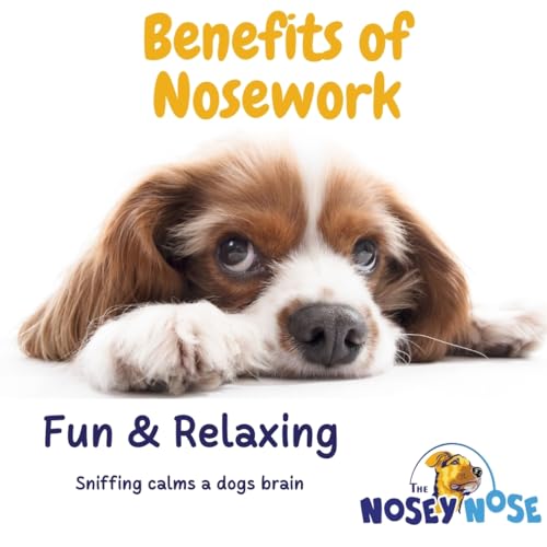 Nosey Nose Dog Scent Training Kit with Games