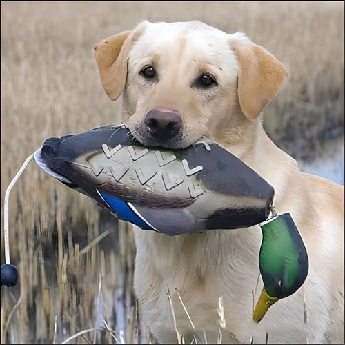 2 Pack Duck Bumper Toys for Dog Training
