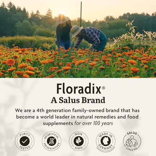 Floradix Vegetarian Iron Liquid Supplement: Energy Support (8 words)