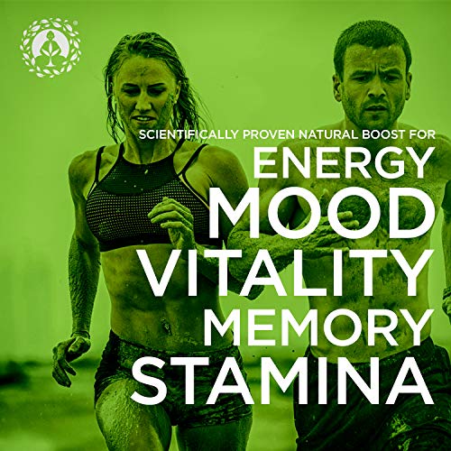 Organic Peruvian Maca Root Powder - Premium Superfood