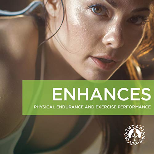 Organic Peruvian Maca Root Powder - Premium Superfood