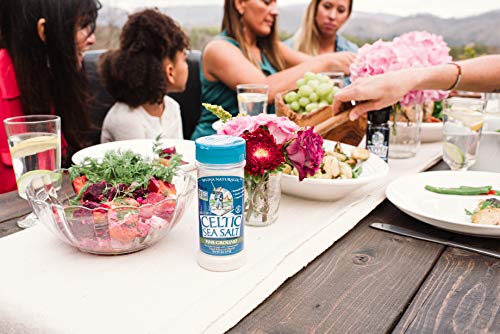 Celtic Sea Salt Shaker for Overall Wellness, 8 oz