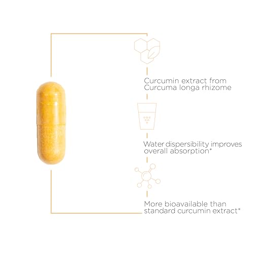 High Absorption Turmeric Curcumin Supplement - 120 Capsules