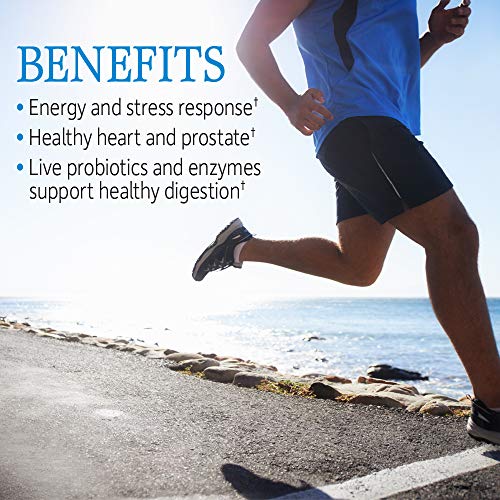 Garden of Life Raw One Multivitamin for Men