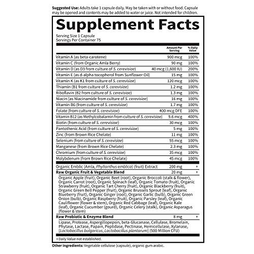 Garden of Life Raw One Multivitamin for Men