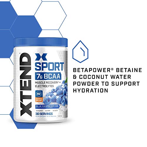 XTEND Sport BCAA Blue Raspberry Hydration Powder