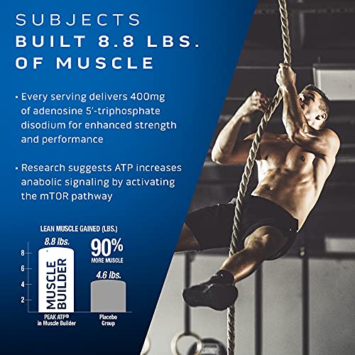 Muscletech Nitric Oxide Muscle Builder Capsules