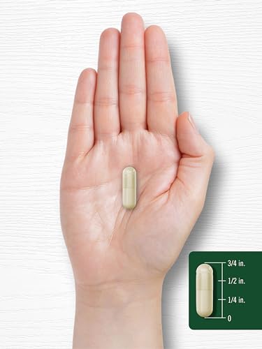 Carlyle Garcinia Cambogia Extract 3000mg, 180 Capsules