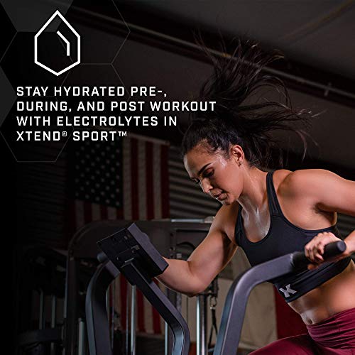 XTEND Sport BCAA Blue Raspberry Hydration Powder