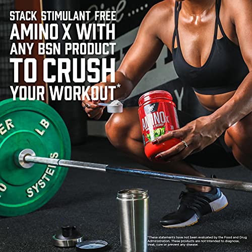 BSN Amino X Recovery Powder - Fruit Punch Flavor