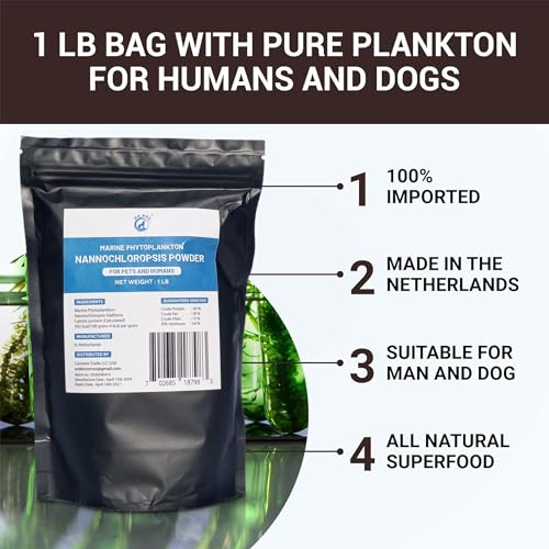 Marine Phytoplankton Powder - Energy, Focus, Memory Boost