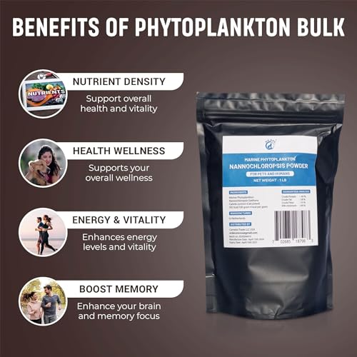 Marine Phytoplankton Powder - Energy, Focus, Memory Boost