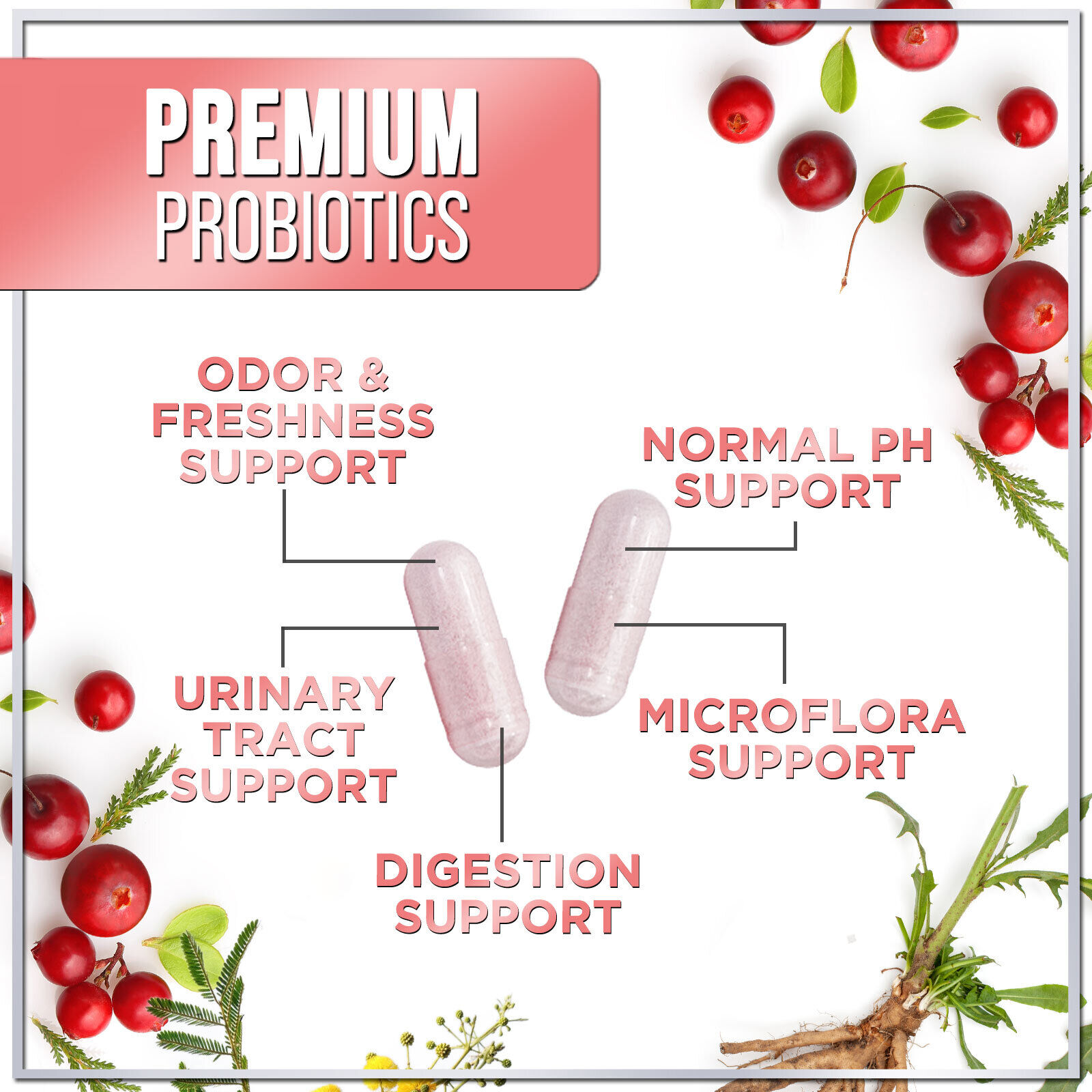 Women's Probiotics with Prebiotics - Digestive & Immune Support