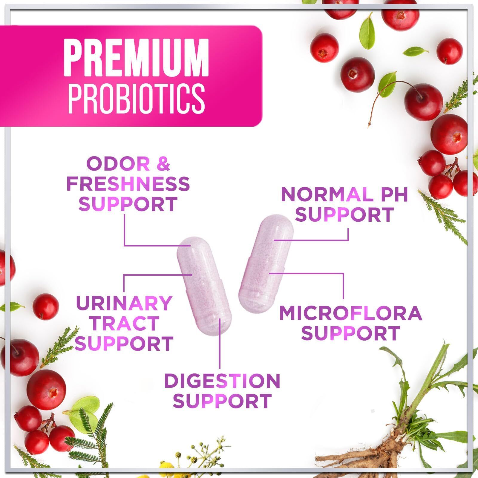 Women's Probiotics - 60 Billion CFU for Digestive & Vaginal Health