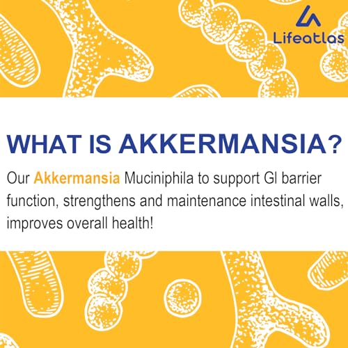 300 Billion AFU Akkermansia Muciniphila Probiotics - 240 Capsules