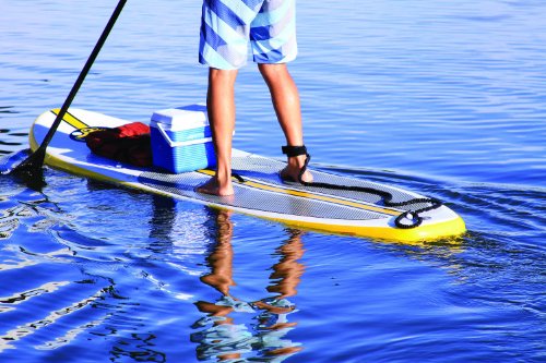 Airhead SUP Scrunchy Board Leash (AHSUP-A008)