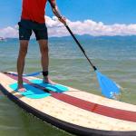 Abahub 1 x 3 Section Carbon Fiber SUP Paddle, Adjustable 67''-86'' Stand Up Paddle Lightweight Carbon Shaft, Blue Plastic Blade + Paddle Bag