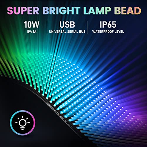 RAYHOME Flexible USB LED Store Sign, App-Controlled Animation