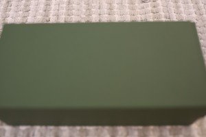 Montegrappa Venetia Fountain Pen - EF Nib