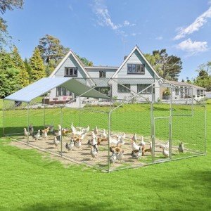 Elegant Metal Chicken Coop for Backyard Flock