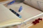 Sailor Ca.Crea Plus Pro Gear Jellyfish Fountain Pen