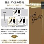 Sailor Pro Fit Standard 21 Black Fountain Pen