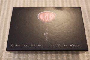Aurora Ipsilon Deluxe Fountain Pen with 14k Nib