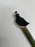 Pelican Resin Novelty Ballpoint Pen for All Ages