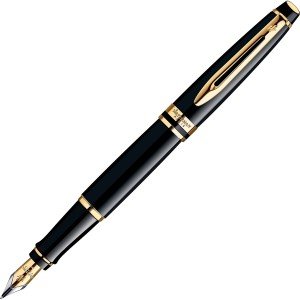 Waterman Expert Matte Black Gold Fountain Pen
