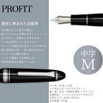 Sailor Pro Fit 21 Fountain Pen - Silver/Black