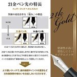 Sailor Pro Fit 21 Fountain Pen - Silver/Black