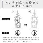 Sailor Professional Gear Slim Silver White Fountain Pen