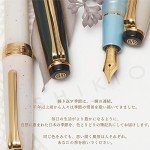 Sailor Shikiori Soraha Fountain Pen - Meigetsu